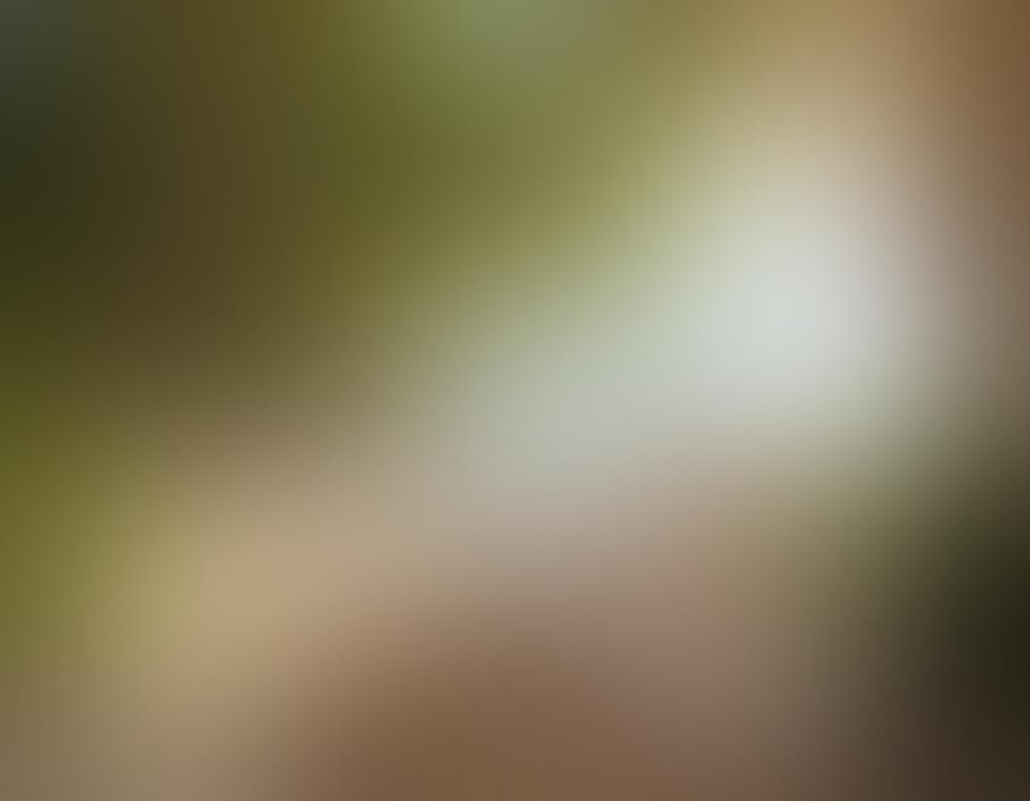 A harmonious blend of nature and finance, depicting a serene nudist beach scene with individuals relaxed in natural poses, surrounded by lush greenery and soft waves. In the foreground, a stylish wooden table displays financial documents and a laptop, symbolizing the fusion of freedom and financial security. Gentle sunlight filters through trees, enhancing the tranquil atmosphere, while soft, inviting color palettes evoke warmth and comfort. super-realistic. vibrant colors. natural landscape.